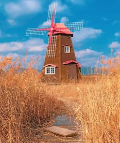 Sorae Ecology Park Incheon South Korea Paint by numbers