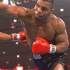 Mike Tyson Paint by numbers