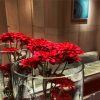 Beautiful Red Flowers Paint by number