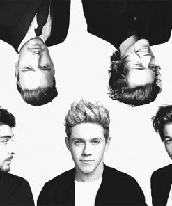 Black and white one direction adult paint by numbers