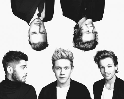 Black and white one direction adult paint by numbers