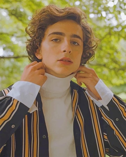 Classy Timothee Chalamet Paint by numbers