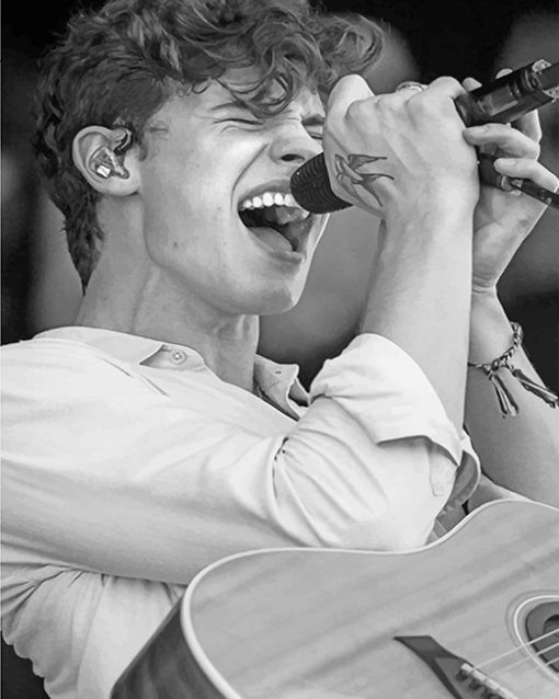 Shawn Mendes Singing Black And White Paint By Number
