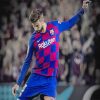 Pique Barcelona adult paint by number