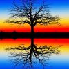 Tree reflection i water adult paint by numbers