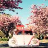WV beetle and cherry blossom adult paint by numbers