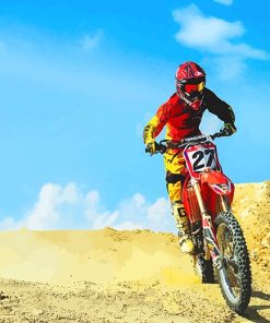 Red Dirt Bike Desert adult paint by numbers
