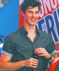 Cute Shawn Paint By numbers