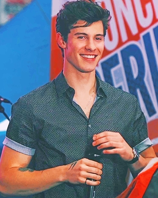 Cute Shawn Paint By numbers