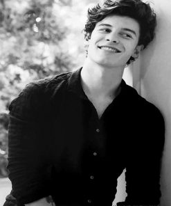 Black And White Shawn Mendes Paint By Numbers