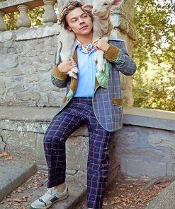 Harry Styles And A Cute Lamb paint By Numbers
