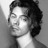 Black & white Harry Edward Styles Paint By Numbers