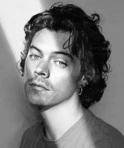 Black & white Harry Edward Styles Paint By Numbers