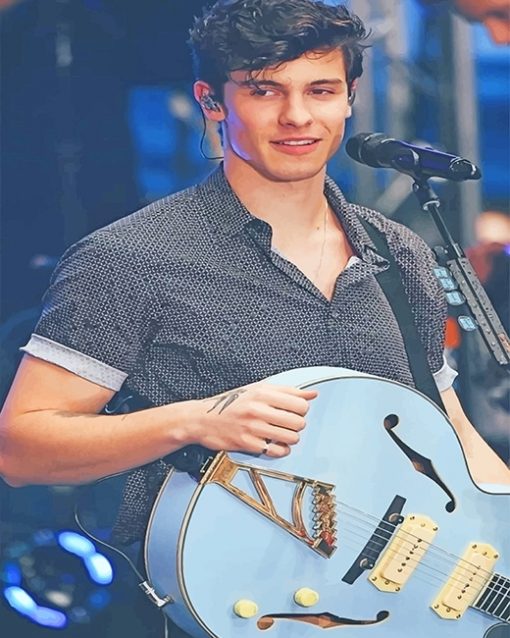 Shawn Mendes and His Blue Guitar Paint By Numbers