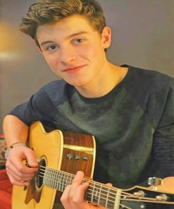 Shawn Mendes Playing Guitar Paint By Numbers