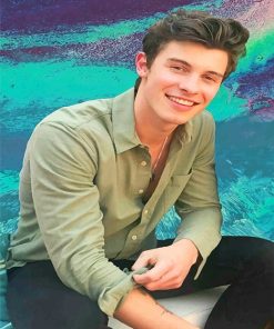 Shawn Mendes Smiling Paint By Numbers