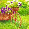 Bicycle Garden Flowers Paint By Numbers