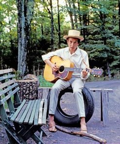 Bob Dylan Elliot Guitar adult paint by numbers