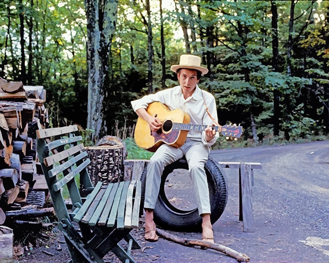 Bob Dylan Elliot Guitar adult paint by numbers