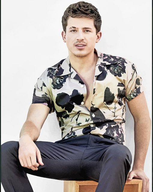 Charlie Puth Singer Paint By Numbers