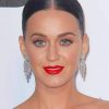 Classy Kety Perry adult paint by numbers