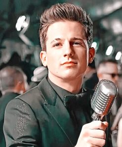 Classy charlie puth adult paint by numbers