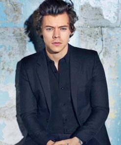 Cute Harry Paint By Numbers