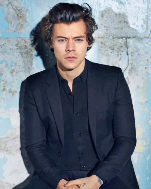 Cute Harry Paint By Numbers