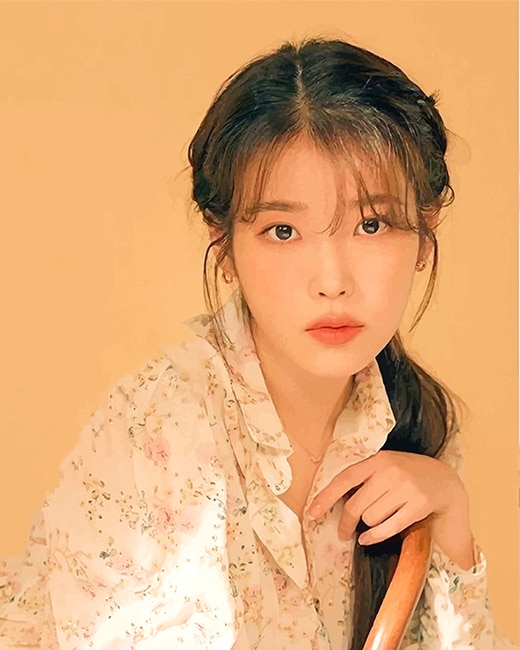 Cute IU Paint By Numbers