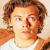 Cute Harry Edward Styles Paint By Numbers