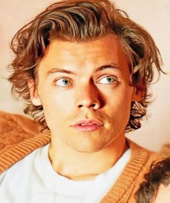 Cute Harry Edward Styles Paint By Numbers
