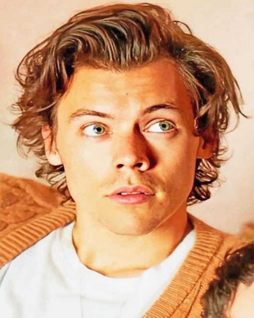 Cute Harry Edward Styles Paint By Numbers