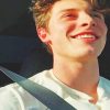 Cute shawn mendes adult paint by numbers