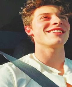 Cute shawn mendes adult paint by numbers