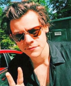 Dope Harry Styles paint By Numbers