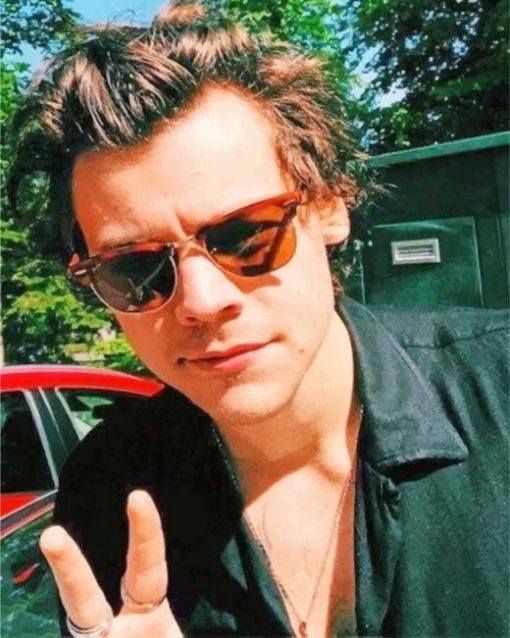 Dope Harry Styles paint By Numbers
