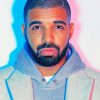 Drake Holtine Bling Paint By Numbers