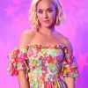 Gorgeous Katy Perry adult paint by numbers