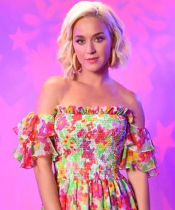 Gorgeous Katy Perry adult paint by numbers