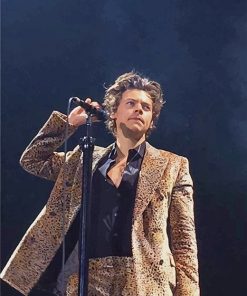 Handsome Harry On Stage adult paint by numbers