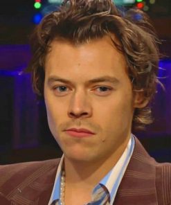 Handsome Harry Paint By Numbers