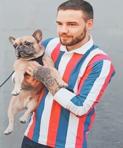 Handsome Liam Payne adult paint by numbers