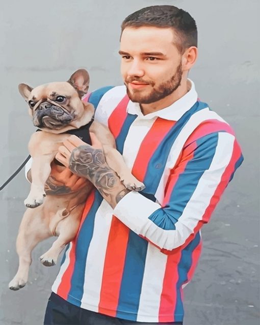 Handsome Liam Payne adult paint by numbers