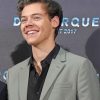 Harold Smiling paint By Numbers