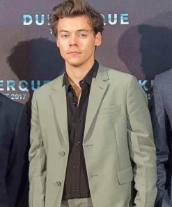 Harry Edward Styles Wearing Suit paint By numbers
