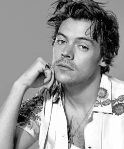 Harry Styles Black And White adult paint by numbers