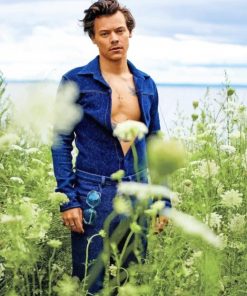 Harry Edward Styles Photoshoot Paint By Numbers