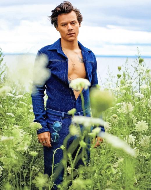 Harry Edward Styles Photoshoot Paint By Numbers