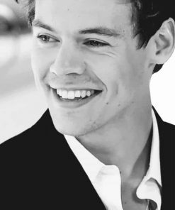 Harry styles Black And White paint by numbers