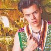 Harry Styles Cool Photo shoot paint By Numbers